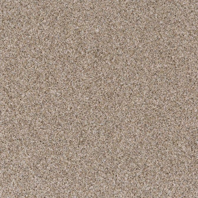 D-302 Morning Coffee