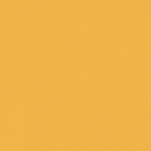 Жёлтый шафран 2729