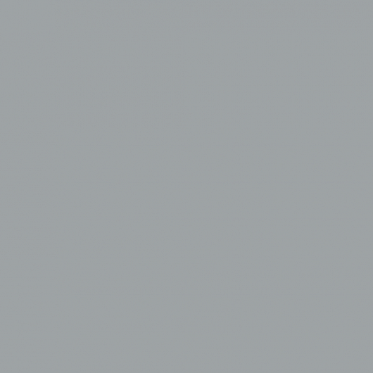 Пепельный 2756