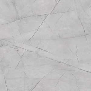 Каспий серый 735