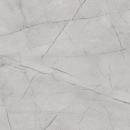 Каспий серый 735