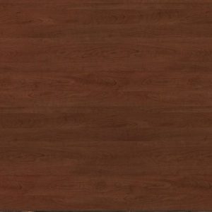 Вишня Моргана 524