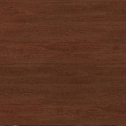 Вишня Моргана 524