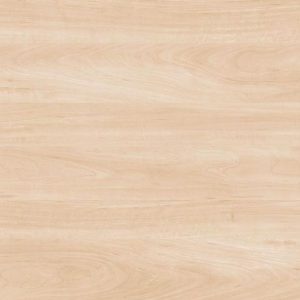 Береза натуральная 691