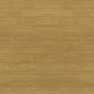 Дуб солнечный 868