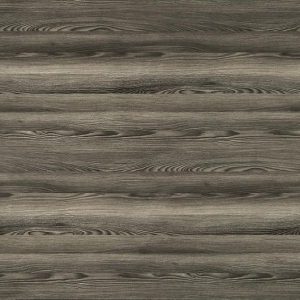 Ель Серебристая 9801