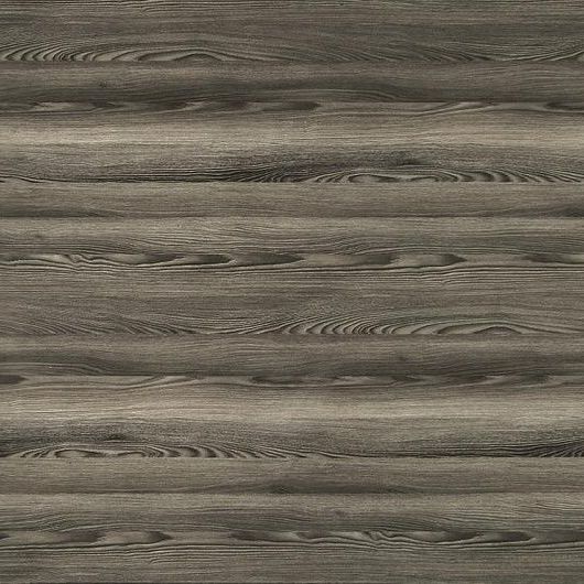 Ель Серебристая 9801