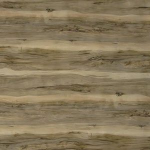 Индийское дерево 690