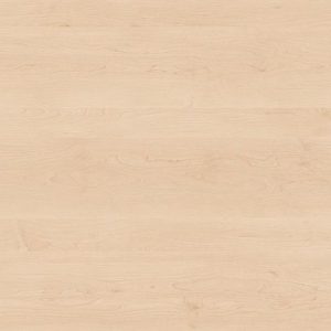 Клен Ванкувер 9743