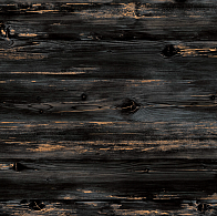 Норвежская сосна 520