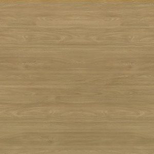 Снежный дуб 687