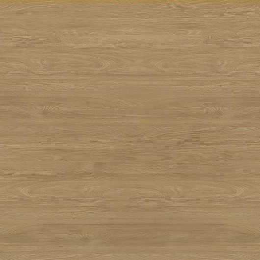 Снежный дуб 687