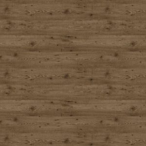 Сосна Карельская 9114