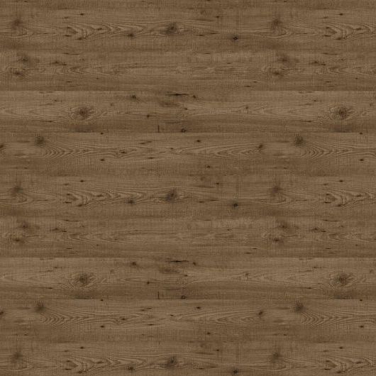 Сосна Карельская 9114