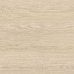 Дуб Тавридский 9753