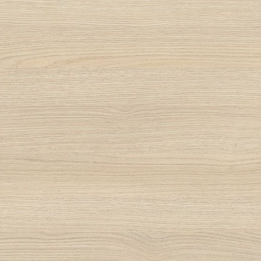 Дуб Тавридский 9753