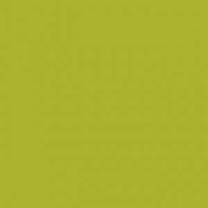 Декор 1067 Lime