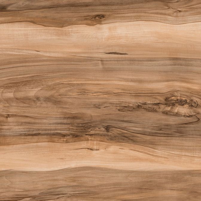 3247 Indian Rosewood