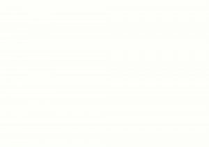 Пример работы 0085 FH белый