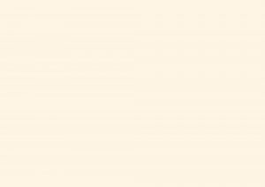 Пример работы 0851 FH белый зимний