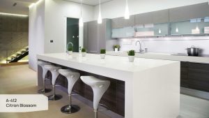 Пример работы A-412 Citron Blossom