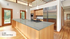 Пример работы D-309 Mushroom Soup