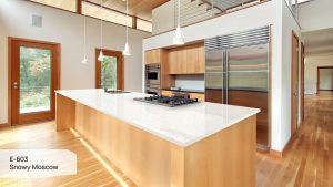 Пример работы E-603 Snowy Moscow