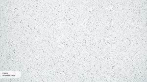 Пример работы E-609 Business Tokio