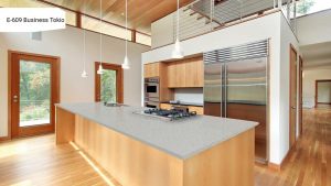 Пример работы E-609 Business Tokio