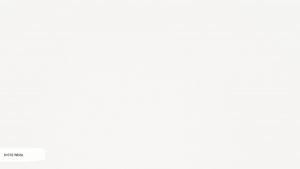 Пример работы N 010 White