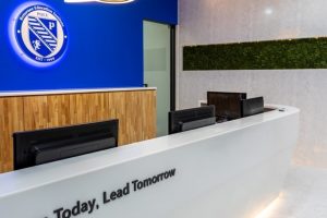 Пример работы S006-Arctic-White