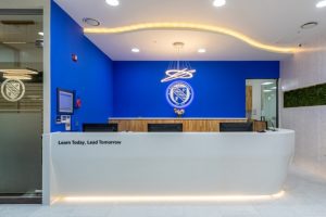 Пример работы S006-Arctic-White