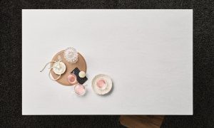 Пример работы ST-101 CLARA