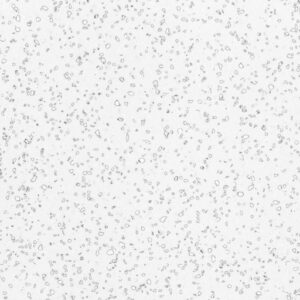 Пример работы QD212 Dalmatian