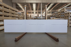 Пример работы VC110 Cotton White