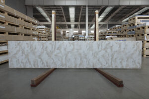 Пример работы VD175 Dandelion