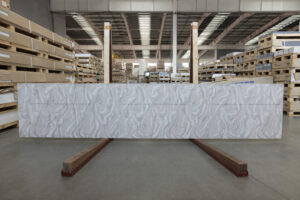 Пример работы VD175 Dandelion