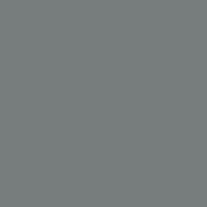 Фото образца или примера работы DM1009 Steel Grey 1